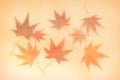 Japanese red and yellow maple leaf on traditional paper Royalty Free Stock Photo