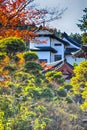 Japanese Religious Heritage. Seasonal Conifers in Front of The Monastery Gates on Sacred Mount Koyasan in Japan