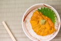 Japanese rice bowl topped with fresh and creamy Uni Sea Urchin with Wasabi Royalty Free Stock Photo