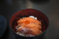 Japanese Rice with Salmon and Salmon Don Royalty Free Stock Photo