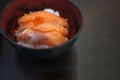 Japanese Rice with Salmon and Salmon Don Royalty Free Stock Photo