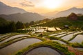 Japanese Rice Terraces in Kumano, Japan at Dusk Royalty Free Stock Photo