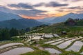 Japanese Rice Terraces in Kumano, Japan at Dusk Royalty Free Stock Photo