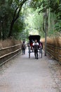 Japanese rickshaw driver carrying a couple