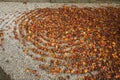 Japanese Rock Garden or `dry landscape` garden Background with maple leaves on it, Kyoto, Japan Royalty Free Stock Photo