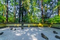 Japanese Rock Garden View Royalty Free Stock Photo