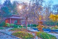 Japanese Rodzi Tea Garden on sunny autumn day, Kyiv Botanical Garden, Ukraine Royalty Free Stock Photo