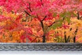 Japanese roof with colorful leaves in the garden, Pavilion in Eikando temple or Eikan-do Zenrinji shrine, famous for tourist Royalty Free Stock Photo