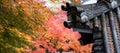 Japanese roof with colorful leaves in the garden, Pavilion in Eikando temple or Eikan-do Zenrinji shrine, famous for tourist Royalty Free Stock Photo