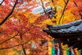 Japanese roof with colorful leaves in the garden, Pavilion in Eikando temple or Eikan-do Zenrinji shrine, famous for tourist Royalty Free Stock Photo