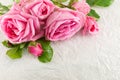 Japanese rose flowers in a box Royalty Free Stock Photo