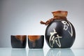 Japanese Sake set Royalty Free Stock Photo