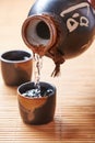 Japanese Sake set Royalty Free Stock Photo