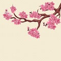 Japanese Sakura. Lush branch dark pink cherry blossom. Royalty Free Stock Photo