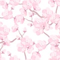 Japanese sakura seamless pattern with stylized flowers. Background made without clipping mask. Easy to use for backdrop