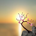 Japanese Sakura. Tree pink cherry on the stone. Against the backdrop of a beautiful sunset. illustration Royalty Free Stock Photo
