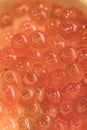 Japanese salmon caviar known as ikura which derives from Russian word which means caviar or fish roe