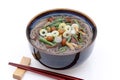 Japanese Sansai udon noodles in a bowl