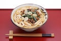 Japanese Sansai Udon noodles in a bowl