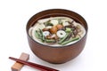Japanese Sansai udon noodles