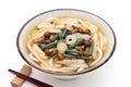 Japanese Sansai Udon noodles in a bowl Royalty Free Stock Photo