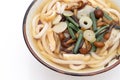 Japanese Sansai Udon noodles in a bowl