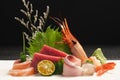 Japanese sashimi platter Royalty Free Stock Photo