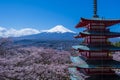Japanese scene of traditional Royalty Free Stock Photo