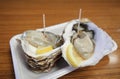 Japanese seafood oyster display at seafood market Royalty Free Stock Photo