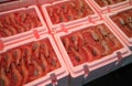 Japanese seafood shrimp prawn display at seafood market Royalty Free Stock Photo