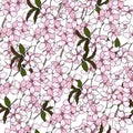 Japanese seamless pattern with sakura branches. Gentle vector endless texture on a white background, dough for fabric, bedding and