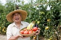 Japanese senior man, farmer in front of rice field