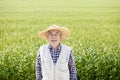 Japanese senior man, farmer in front of rice field