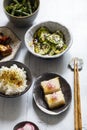 Japanese set meal Royalty Free Stock Photo