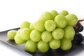 Japanese shine muscat grapes