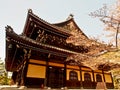 Japanese Shinto shrine with cherry blossom