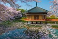 Japanese Shinto temple at spring