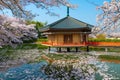 Japanese Shinto temple at spring