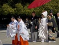 Japanese shinto wedding ceremony Royalty Free Stock Photo