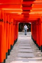 Japanese shrine Kushida-jinja, Torii gate in Fukuoka, Japan Royalty Free Stock Photo