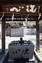 Japanese shrine precincts Royalty Free Stock Photo