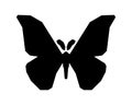 Japanese silk moth stylized vector icon on white