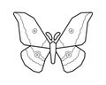 Japanese silk moth stylized vector icon on white