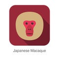 Japanese snow macaque face flat icon design, vector illustration