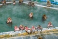 Japanese Snow monkey Macaque in hot spring On-sen , Hakodate, Japan Royalty Free Stock Photo