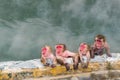 Japanese Snow monkey Macaque in hot spring On-sen , Hakodate, Japan Royalty Free Stock Photo