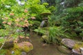 Japanese Snowbell in Bloom by Stone Lantern Royalty Free Stock Photo