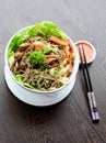 Japanese Soba Noodles Royalty Free Stock Photo