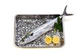 Japanese spanish mackerel Royalty Free Stock Photo