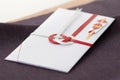 Japanese special envelope Royalty Free Stock Photo